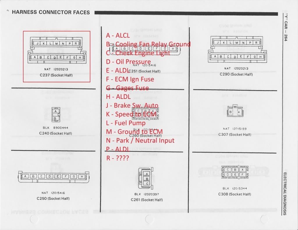 [Image: C237Defined-1.jpg]