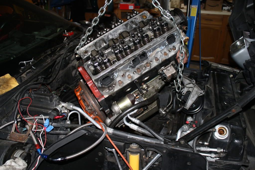 [Image: IMG_2610.jpg]