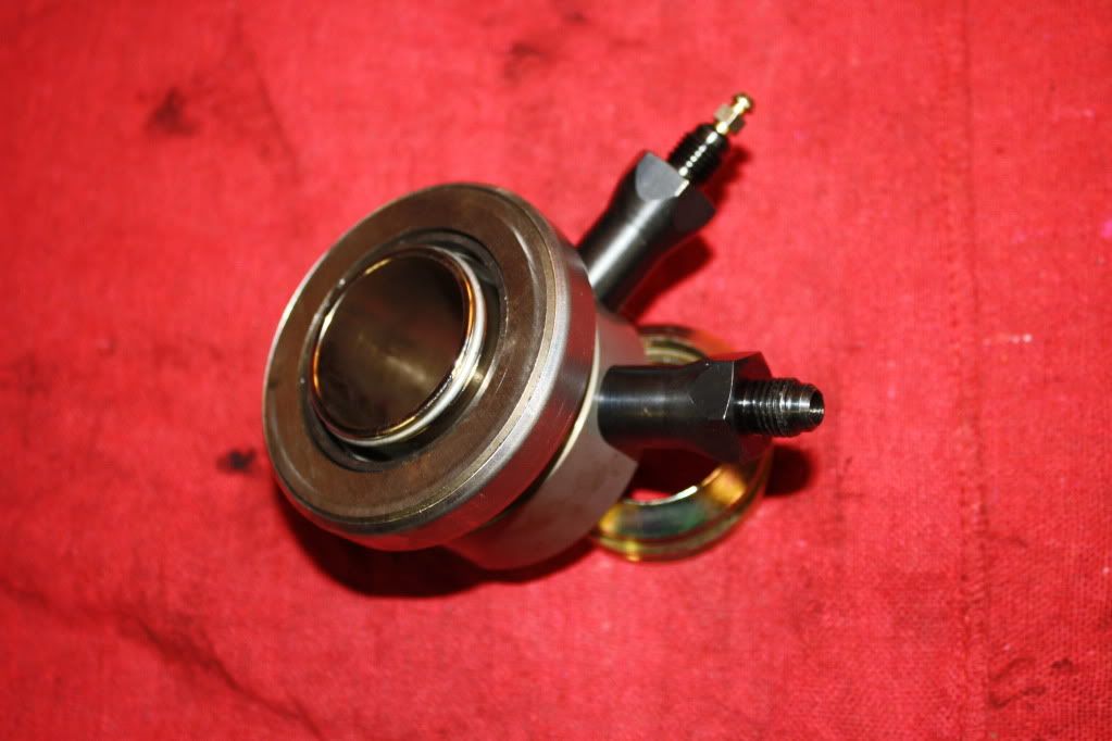 [Image: IMG_2983.jpg]