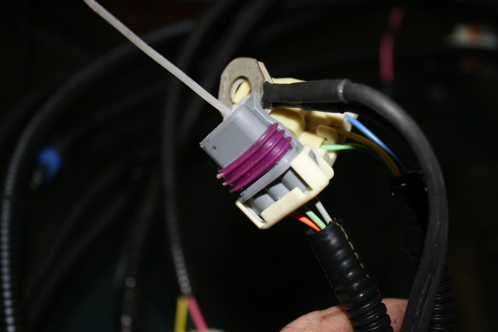 [Image: IMG_3037.jpg]