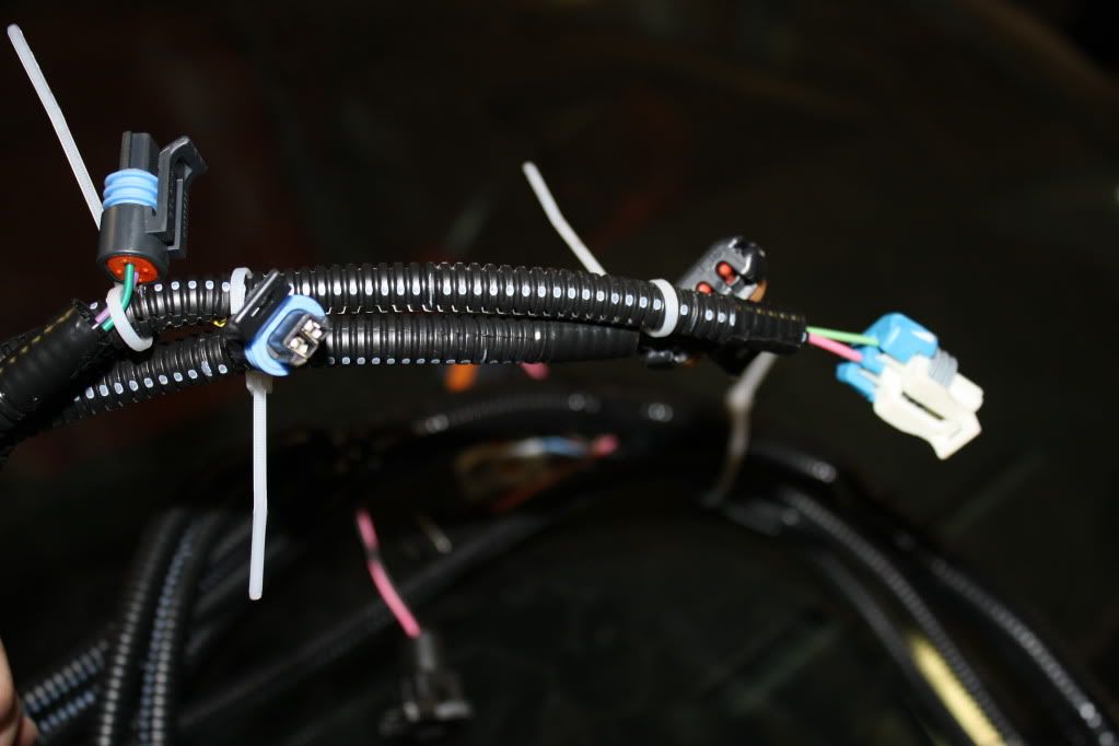 [Image: IMG_3038.jpg]