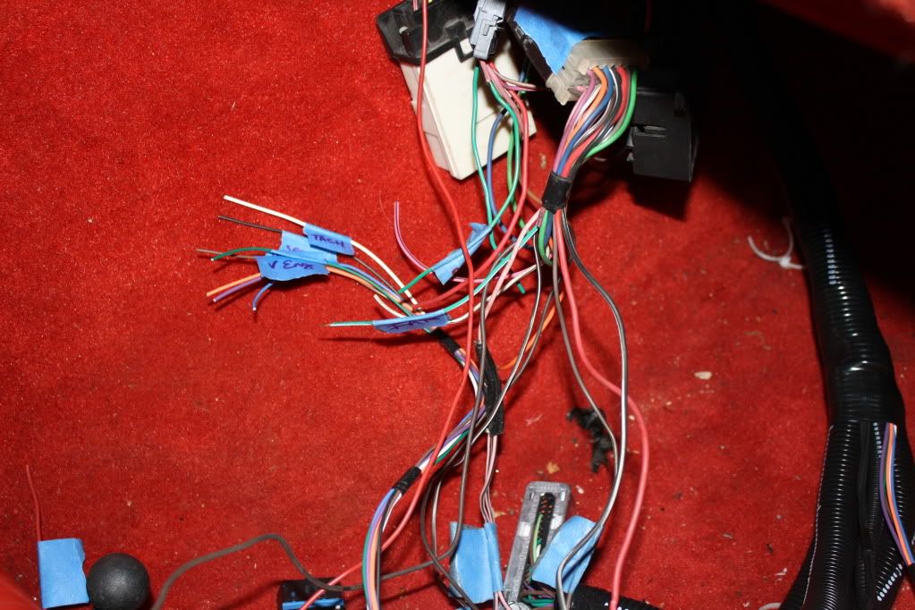 [Image: IMG_3040.jpg]