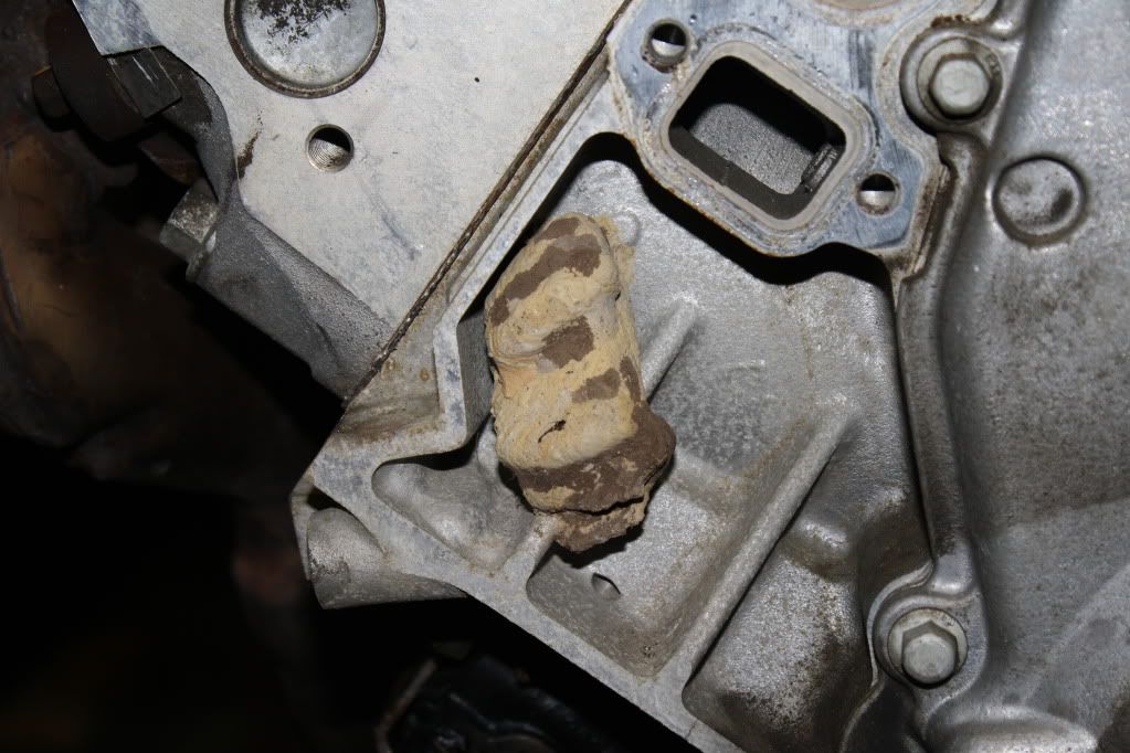 [Image: IMG_3045.jpg]