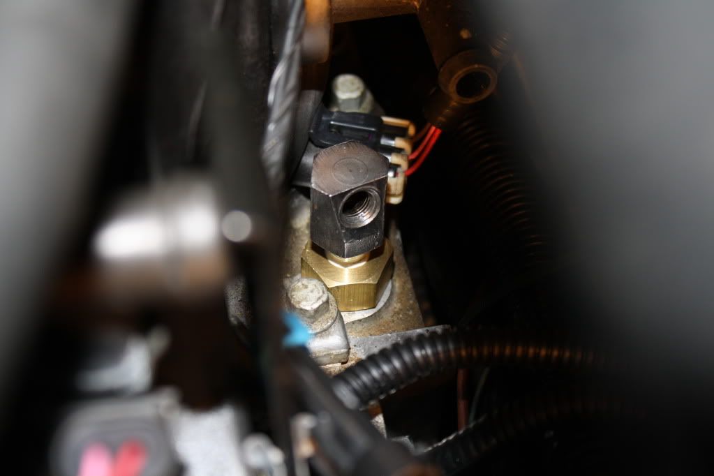 [Image: IMG_3300.jpg]