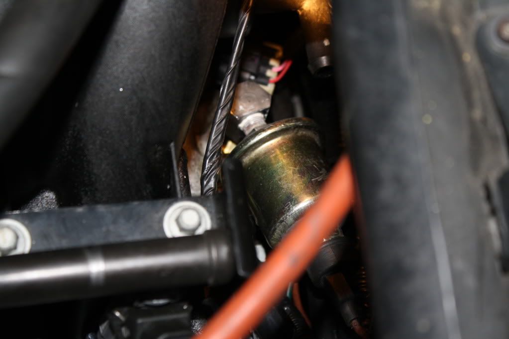 [Image: IMG_3306.jpg]