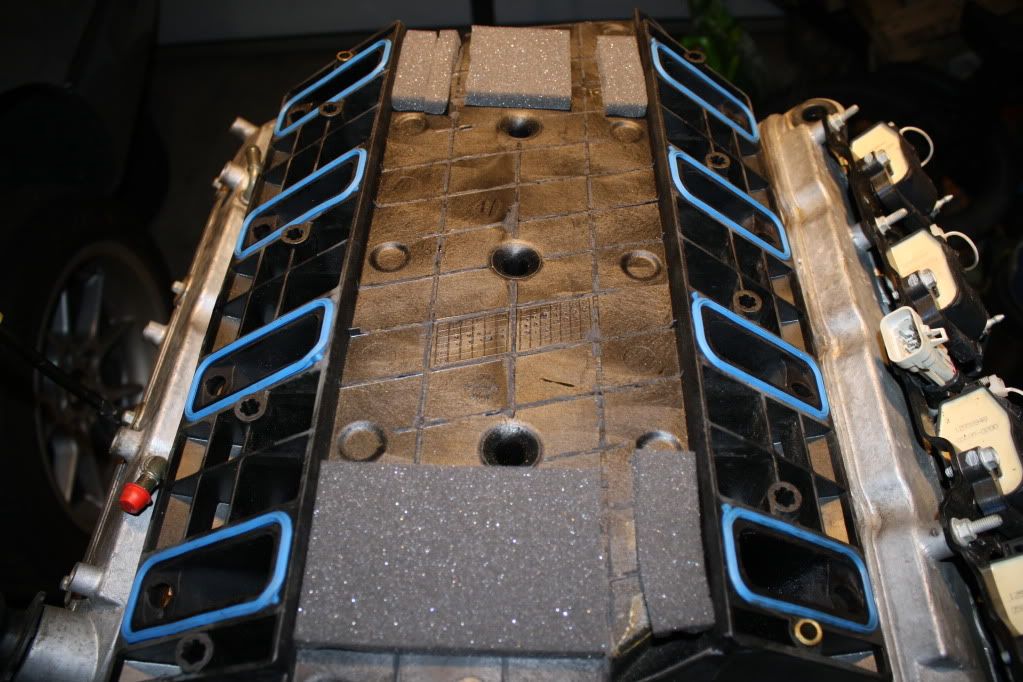 [Image: LS1toLS6Intake5.jpg]