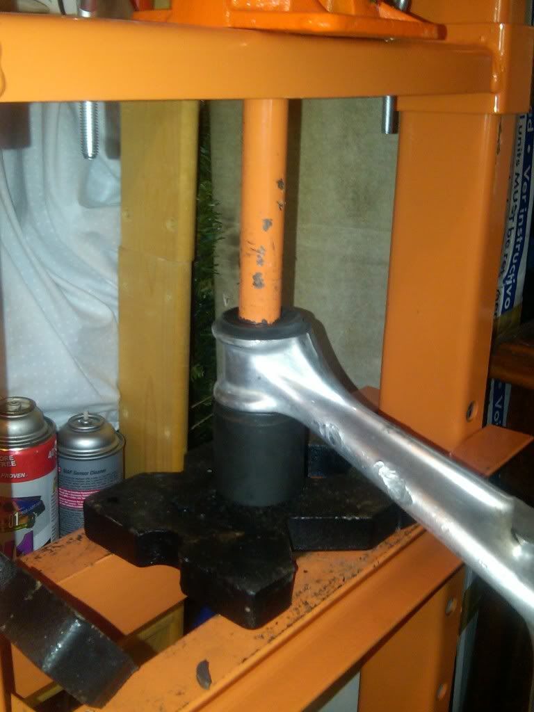 [Image: IMG00152-20110615-1904.jpg]
