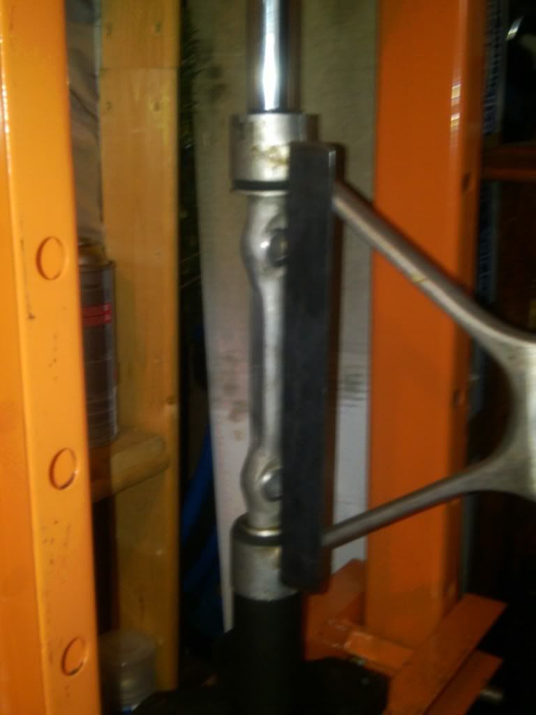 [Image: IMG00155-20110615-1922.jpg]