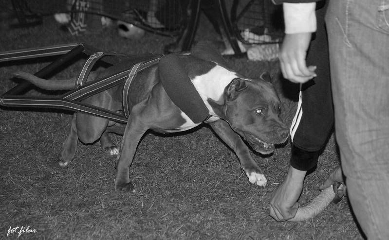 DSC_0842.jpg