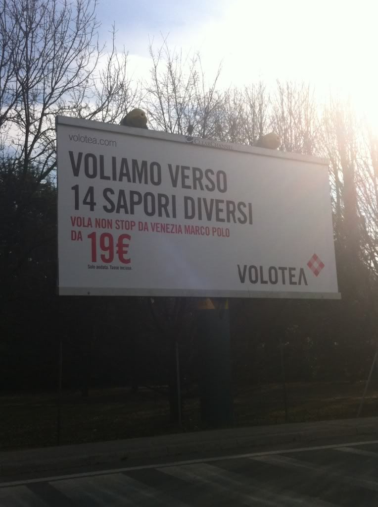 Volotea.jpg