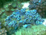 Image005.jpg