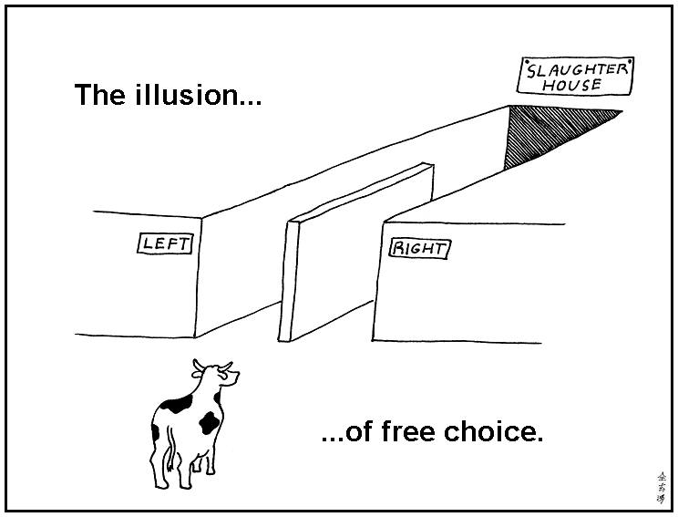 hegelian dialectic photo: the illusion of choice illusion.png