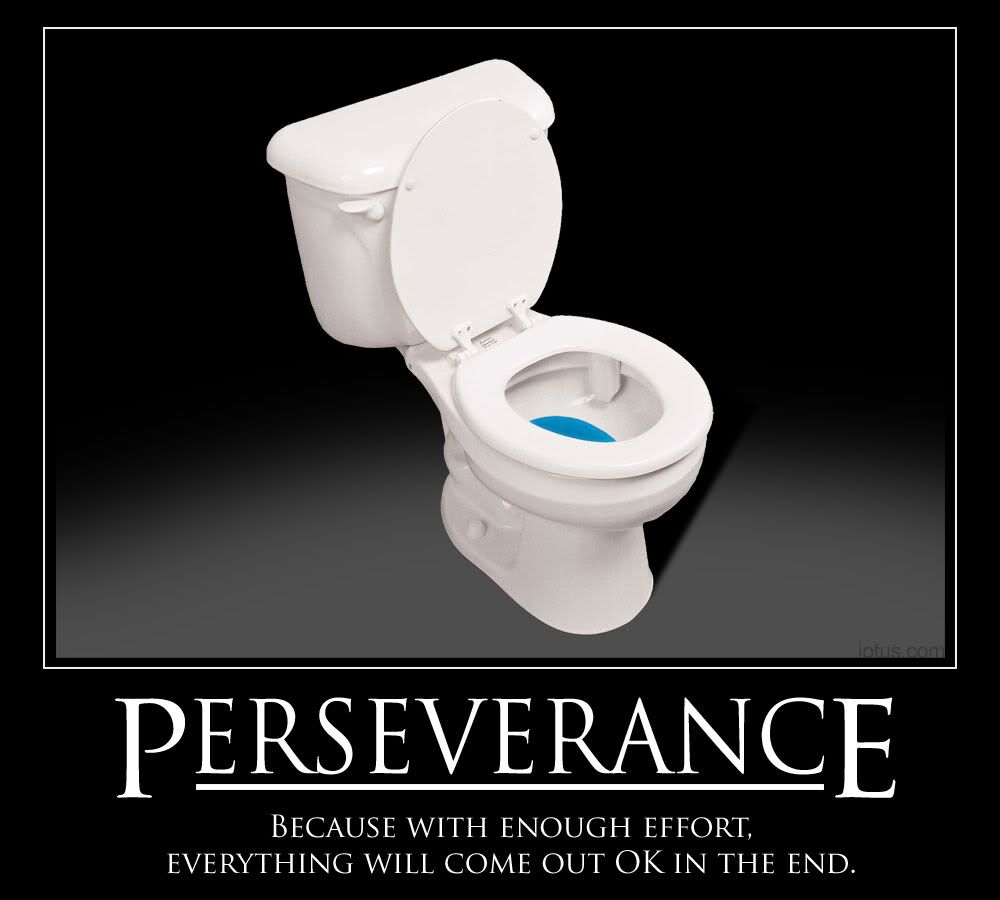 Perseverance Image