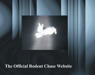  The Official Rodent Chase Website 