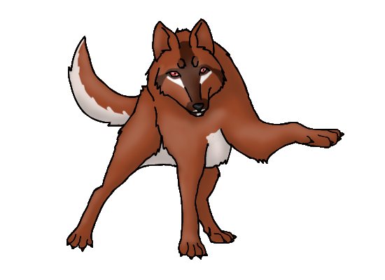 photo Brown Wolf-1.png