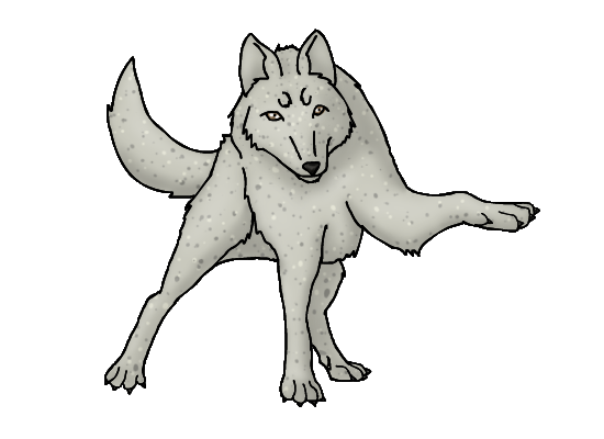 photo Dapple wolf-1.png