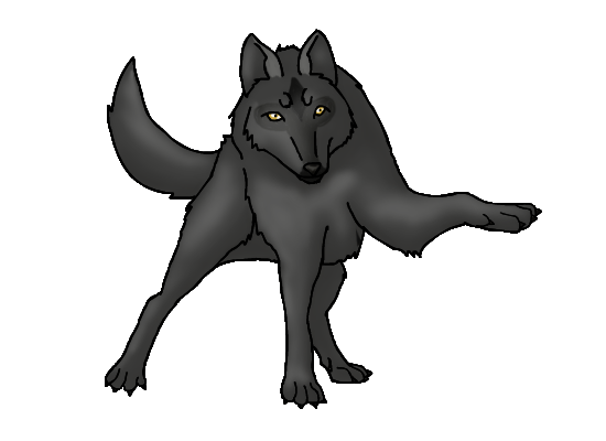 photo dark grey wolf-1.png