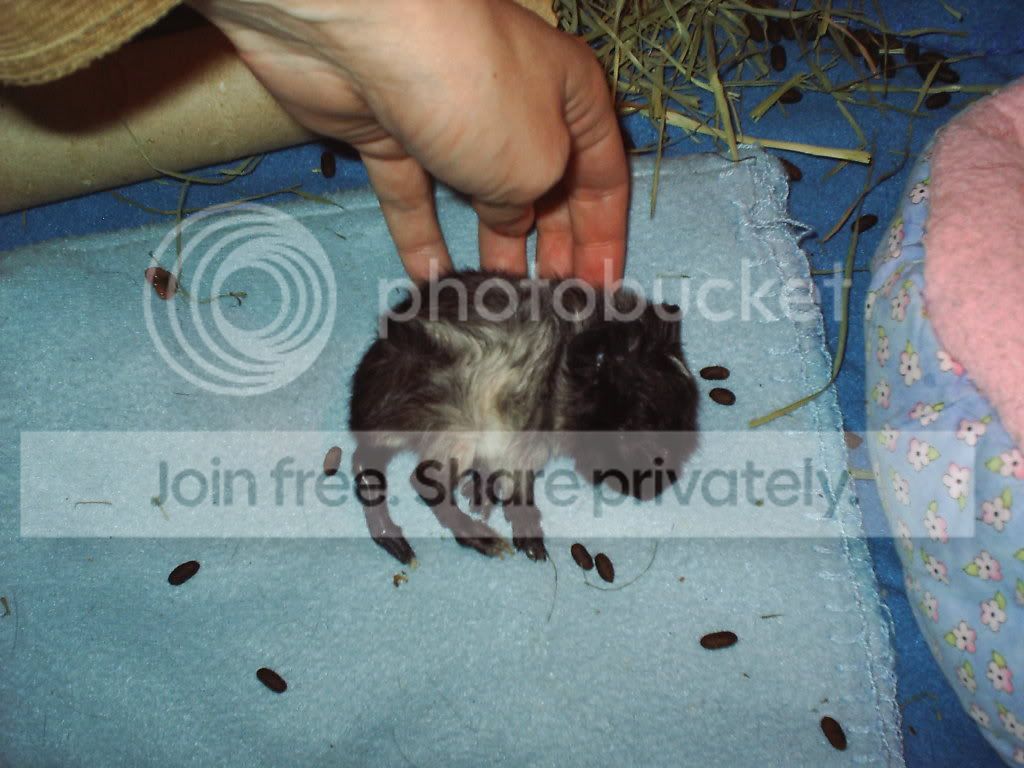 001.jpg