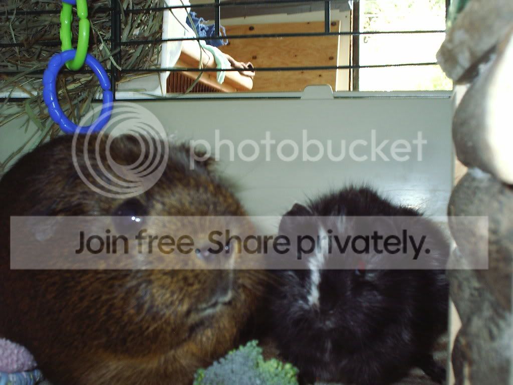Buddies.jpg