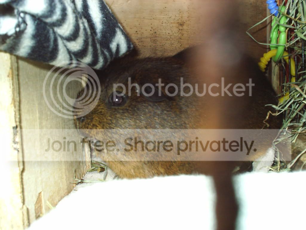 j.jpg