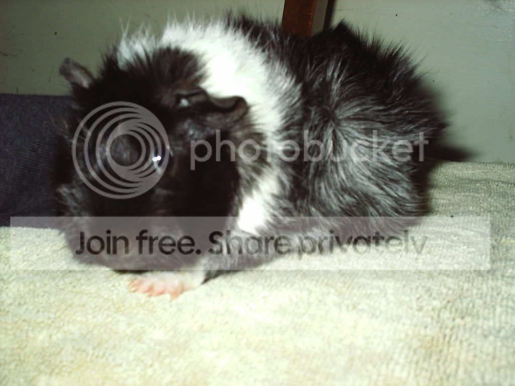 lulumay.jpg